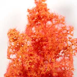 Fantasy Bushes: Red-Orange