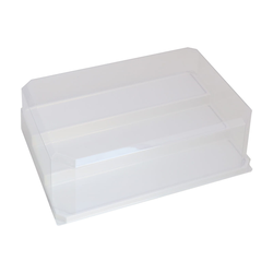 Safe & Sound: Magnetic Display Case for models in painting