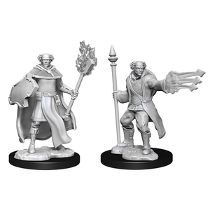 Nolzur's Marvelous Miniatures (unpainted): Multiclass Cleric + Wizard Male