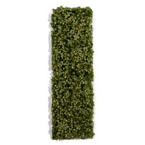 Diorama: Platane Foliage Summer
