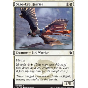 Magic löskort: Khans of Tarkir: Sage-Eye Harrier