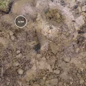 PWork Wargames Mat: Necropolis 44x60" (~112x153cm) (Neoprene)